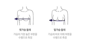 속옷 브라 사이즈 어떻게 측정할까요?插图