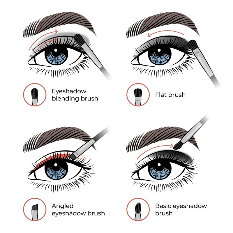 How to apply eyeshadow  